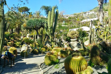 i giardini botanici di Ravino a Forio, luoghi da visitare sull'isola d'Ischia